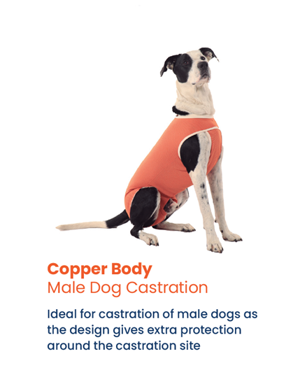 Luna & Milo CopperBody Castration #13