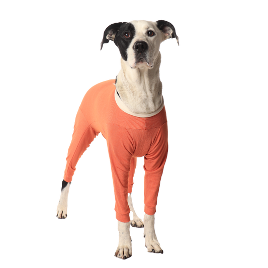 Luna & Milo CopperBody 4-Legs #6