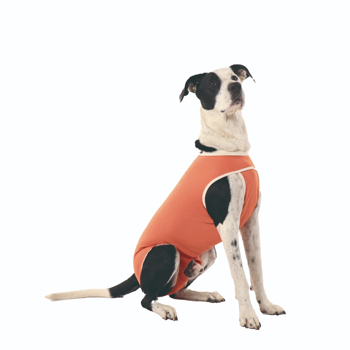 Luna & Milo CopperBody Classic #6