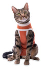 Luna & Milo CopperBody Classic Katze #00