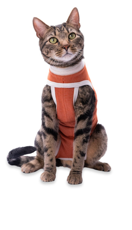 Luna & Milo CopperBody Classic Katze #2